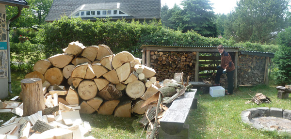 3 Arbeitseinsatz Holz 2.6.2012